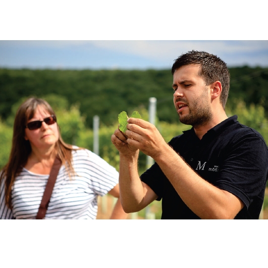 Rollende Weinbar - Wunschtermin anfragen