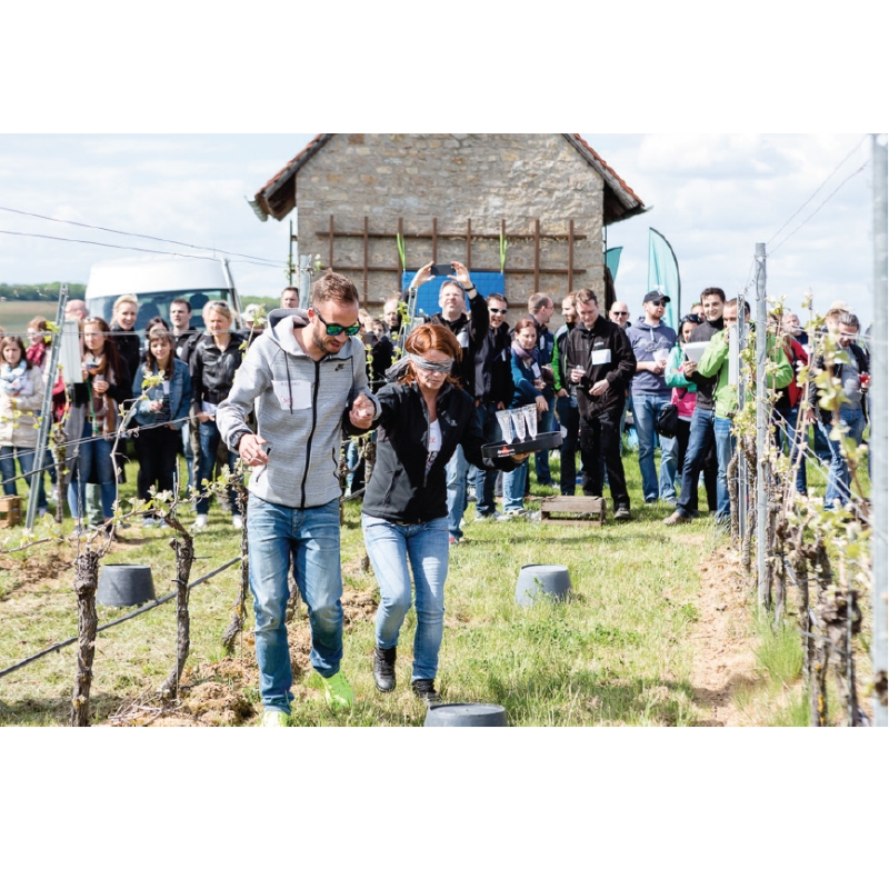 Teamevent im Weinberg - Wunschtermin anfragen