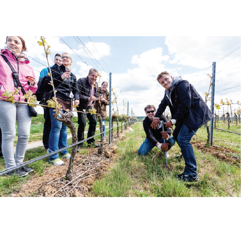 Teamevent im Weinberg - Wunschtermin anfragen