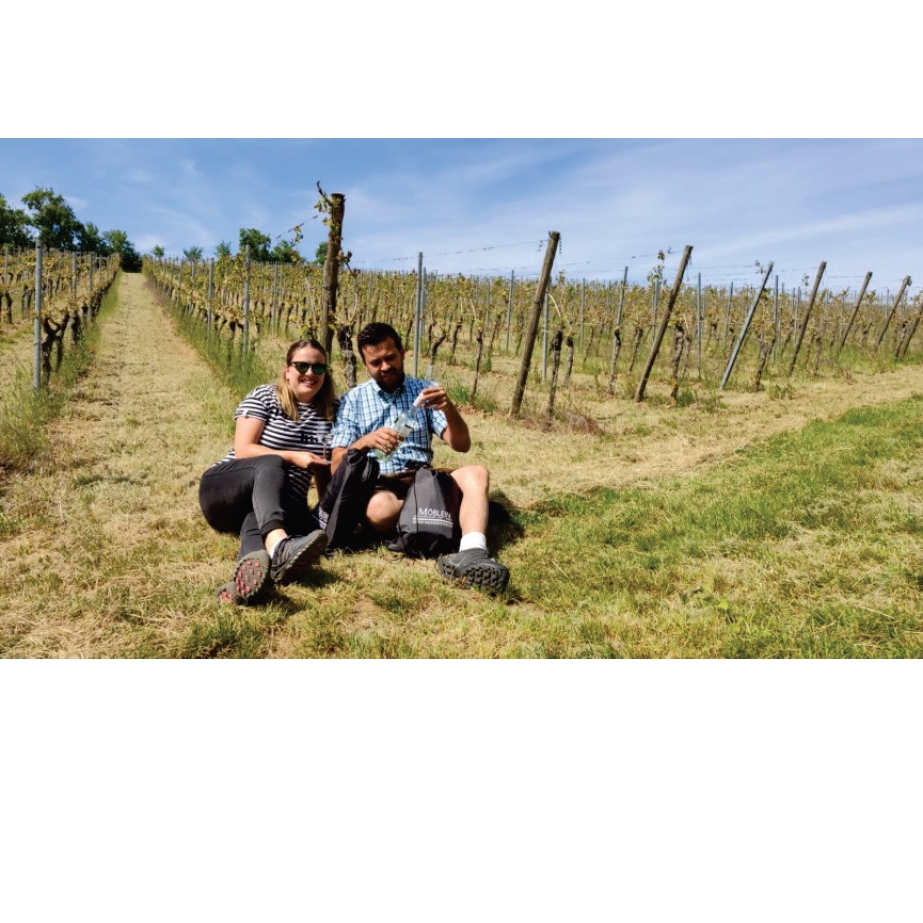Picknickrucksack mit Wein und Gebäck