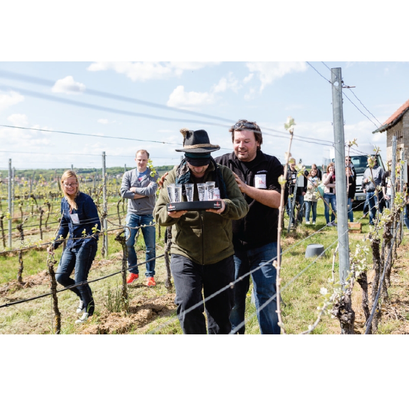 Teamevent im Weinberg - Wunschtermin anfragen