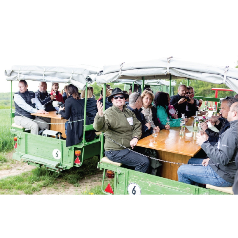 Teamevent im Weinberg - Wunschtermin anfragen