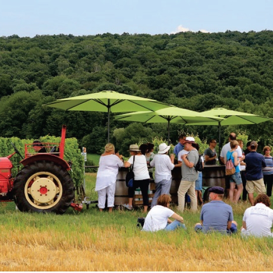 Rollende Weinbar - Wunschtermin anfragen