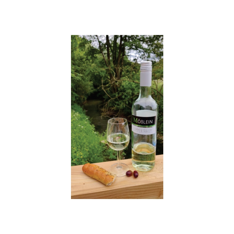 Picknickrucksack mit Wein und Gebäck