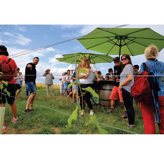 Rollende Weinbar - Wunschtermin anfragen